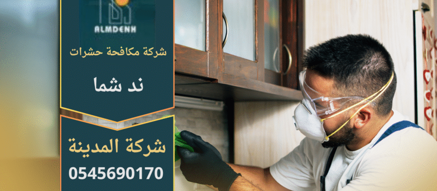 شركة مكافحة حشرات في ند شما تقدم خدمات التخلص من الحشرات بسرعة وأمان