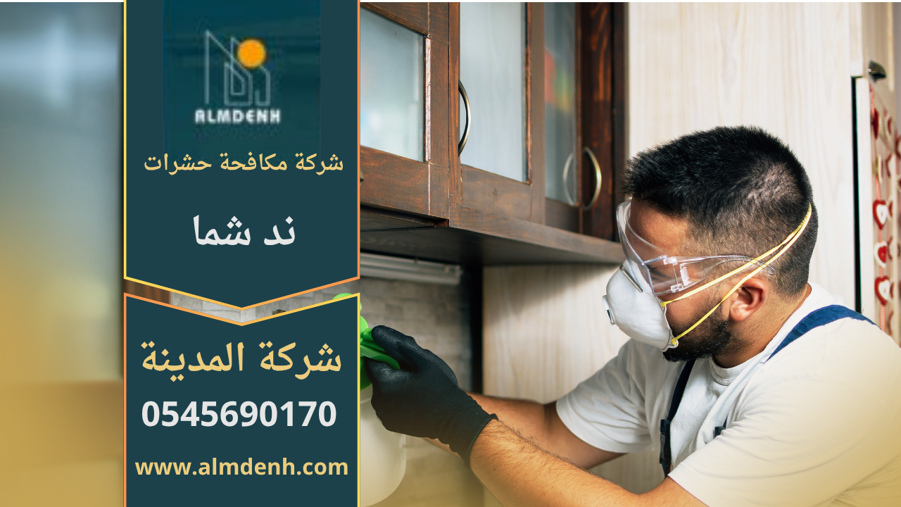 شركة مكافحة حشرات في ند شما تقدم خدمات التخلص من الحشرات بسرعة وأمان