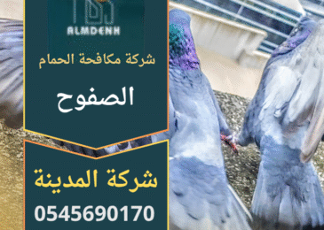 فريق عمل من شركة مكافحة الحمام في الصفوح يركب شبكات واقية على واجهة مبنى سكني للحد من تجمع الطيور بطريقة آمنة وفعالة.