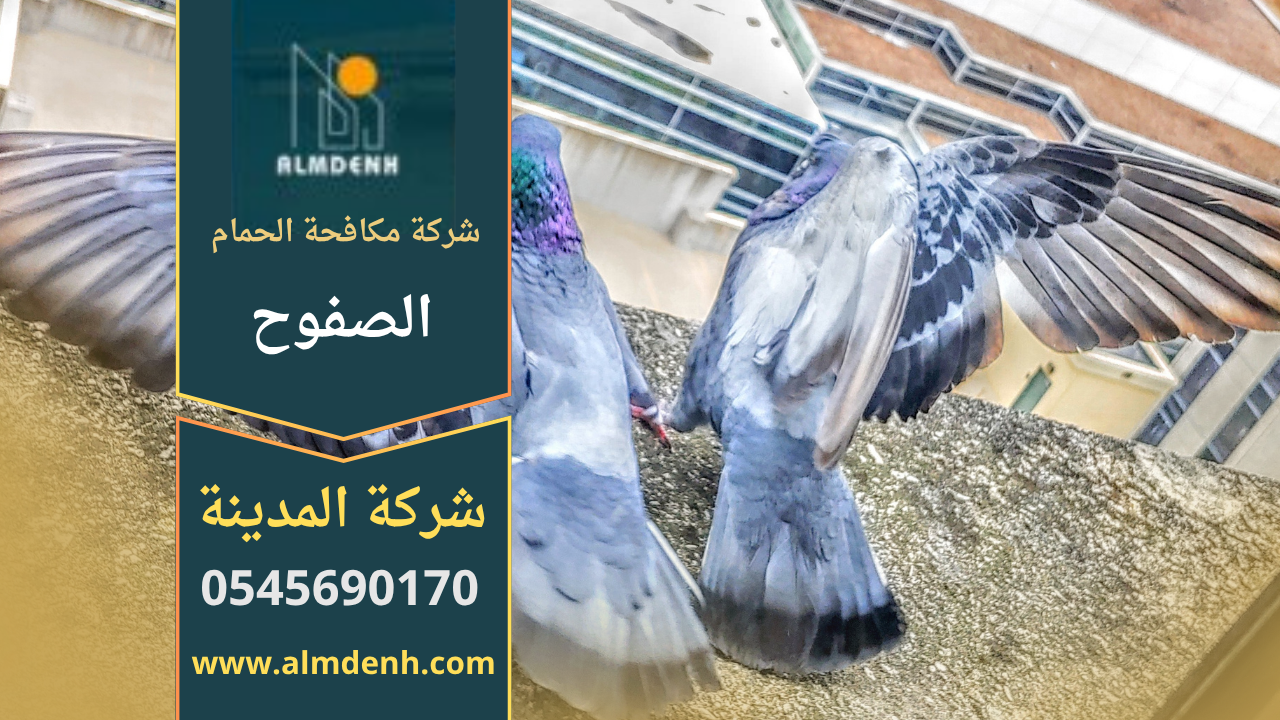 فريق عمل من شركة مكافحة الحمام في الصفوح يركب شبكات واقية على واجهة مبنى سكني للحد من تجمع الطيور بطريقة آمنة وفعالة.