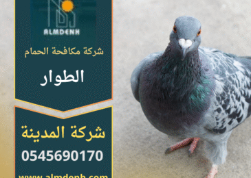 فريق متخصص من شركة مكافحة الحمام في الطوار يقوم بتركيب شبك حماية على سطح فلل حديثة لمنع تجمع الحمام بشكل آمن وفعال.