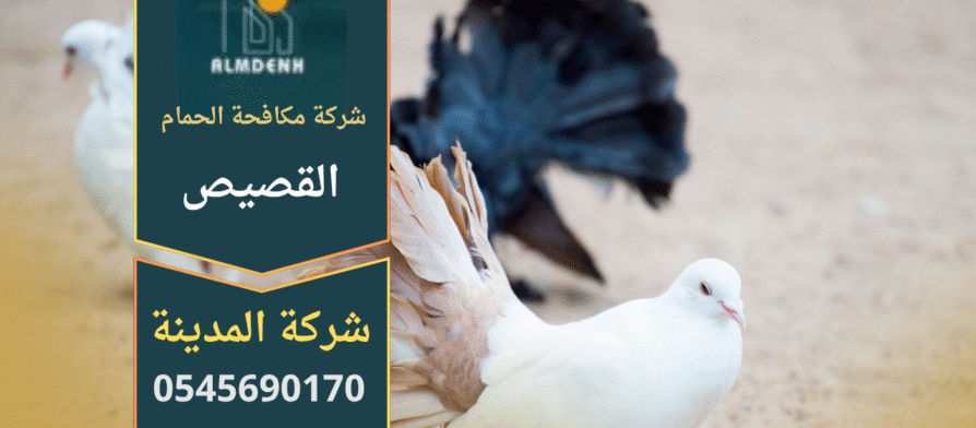 فريق عمل محترف من شركة مكافحة الحمام في القصيص أثناء تركيب شبكات آمنة على أسطح المباني لمنع تجمع الحمام وحماية المكان من الأضرار.