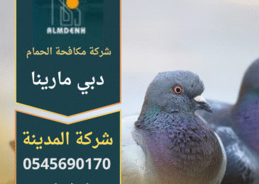 فريق عمل محترف من شركة مكافحة الحمام في دبي مارينا أثناء تركيب شبك واقٍ على سطح أحد المباني السكنية في المنطقة لضمان حماية المكان من تجمع الطيور.