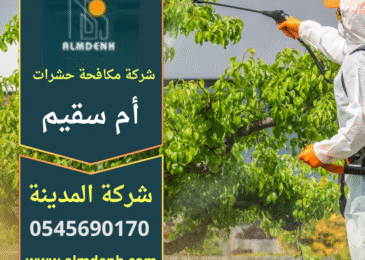 فني من شركة مكافحة حشرات في أم سقيم يستخدم معدات حديثة لمعالجة الآفات داخل منزل بطريقة آمنة.