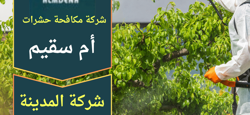 فني من شركة مكافحة حشرات في أم سقيم يستخدم معدات حديثة لمعالجة الآفات داخل منزل بطريقة آمنة.