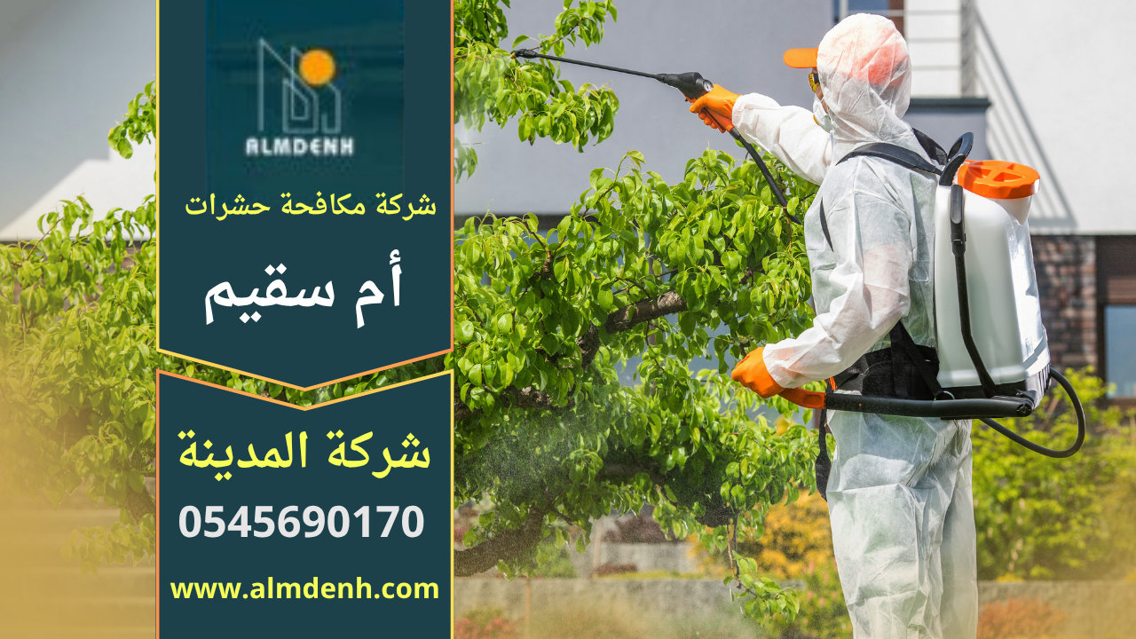 فني من شركة مكافحة حشرات في أم سقيم يستخدم معدات حديثة لمعالجة الآفات داخل منزل بطريقة آمنة.