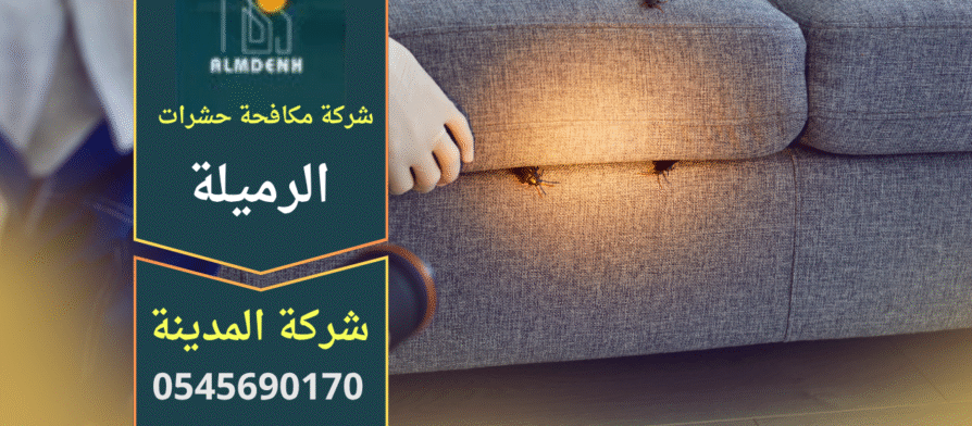 صورة توضح فريق عمل محترف من شركة مكافحة حشرات في الرميلة يستخدم معدات حديثة لمعالجة الإصابات داخل المنازل.