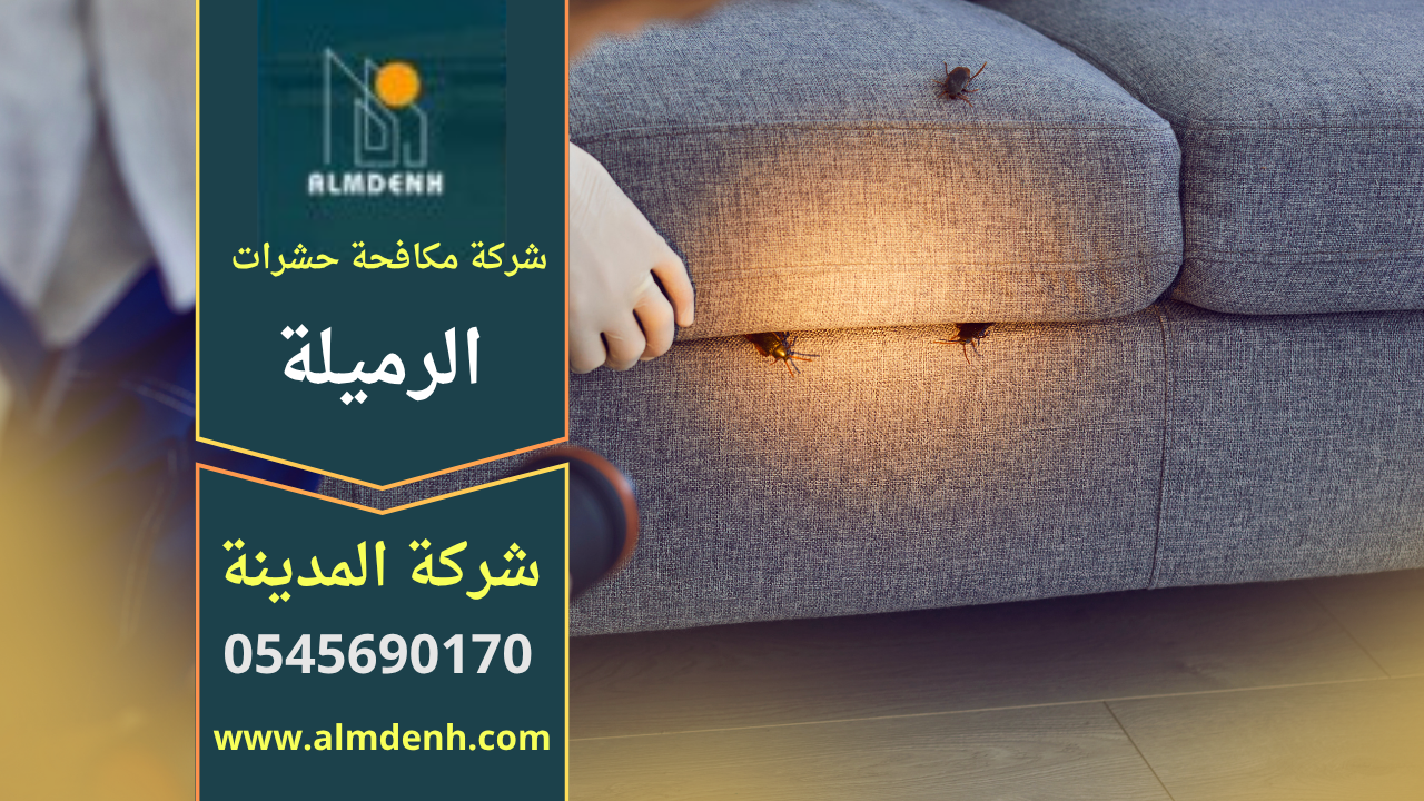 صورة توضح فريق عمل محترف من شركة مكافحة حشرات في الرميلة يستخدم معدات حديثة لمعالجة الإصابات داخل المنازل.