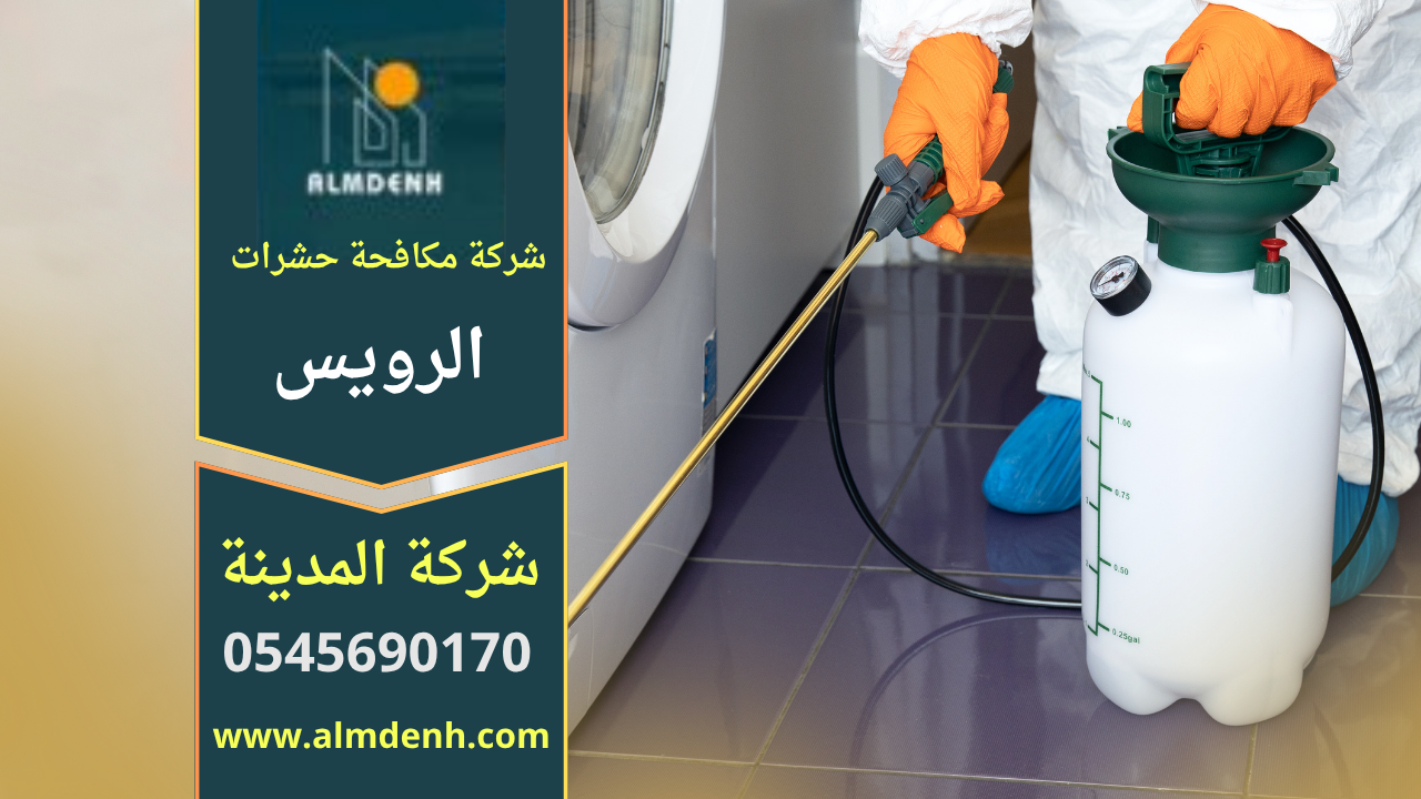 خدمة مقدمة من شركة مكافحة حشرات في الرويس تستخدم معدات حديثة لإزالة الحشرات داخل المنازل بطرق آمنة وسريعة.