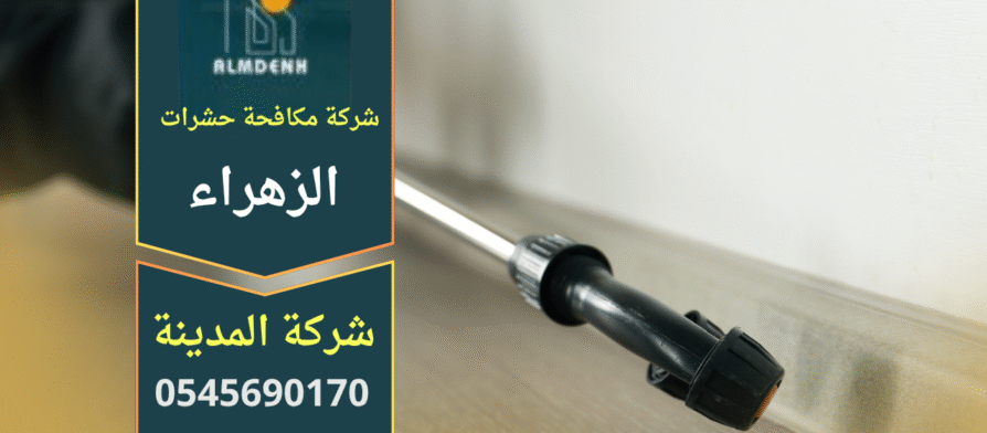 صورة فريق متخصص من شركة مكافحة حشرات في الزهراء ينفذ علاجًا احترافيًا داخل منزل باستخدام معدات حديثة وآمنة.