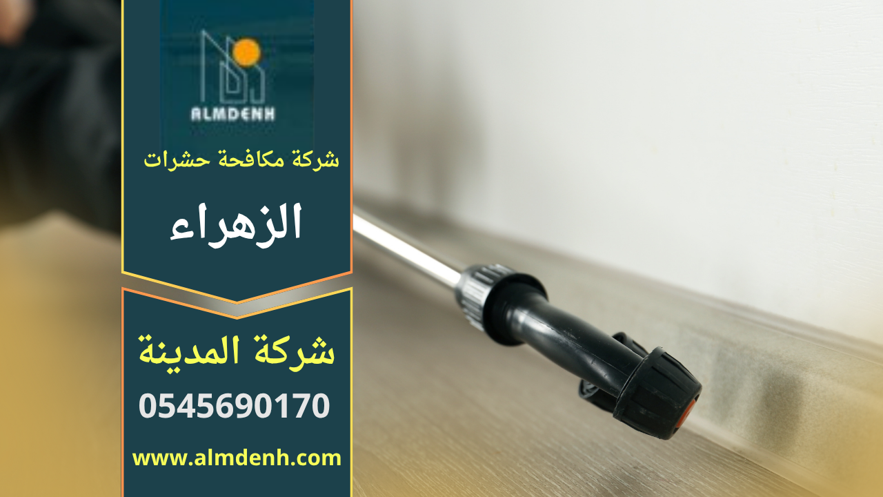 صورة فريق متخصص من شركة مكافحة حشرات في الزهراء ينفذ علاجًا احترافيًا داخل منزل باستخدام معدات حديثة وآمنة.
