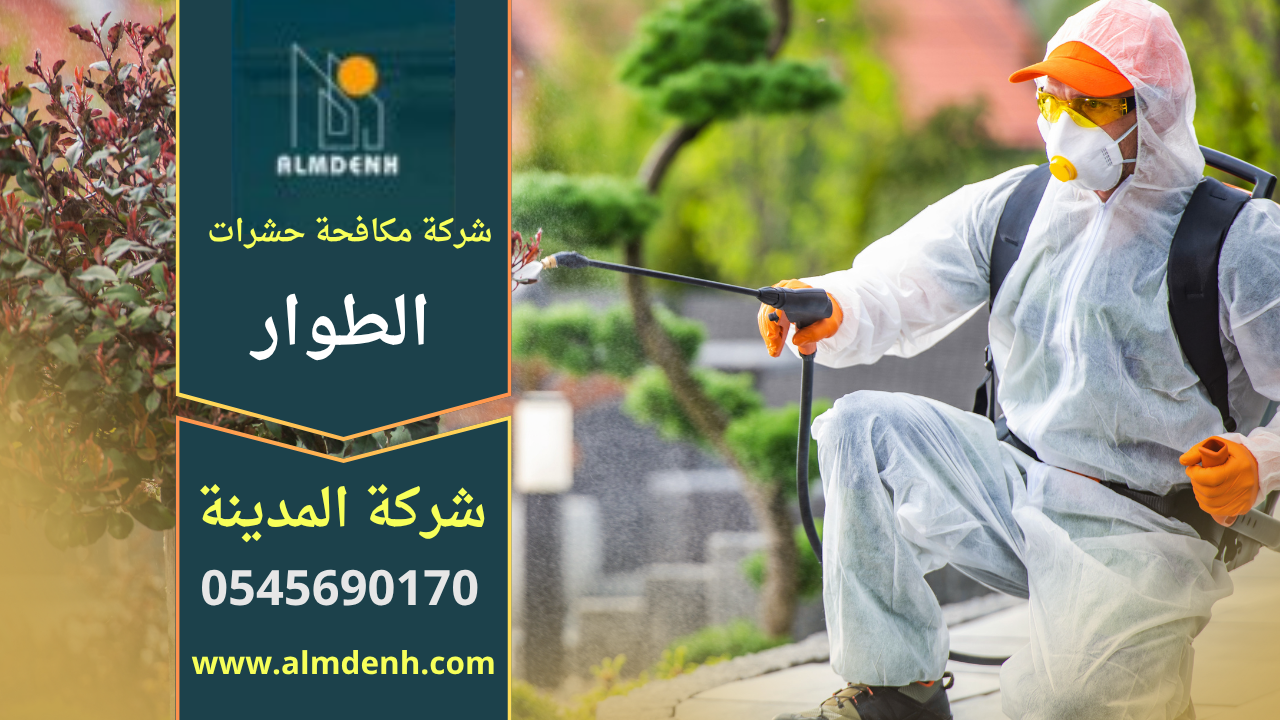 صورة توضح فريق عمل من شركة مكافحة حشرات في الطوار يستخدم معدات حديثة لمعالجة انتشار الحشرات داخل أحد المنازل.