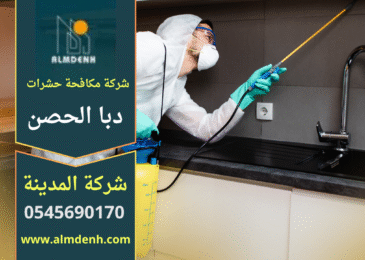 خدمة احترافية من فريق متخصص يقدم حلول سريعة وفعالة ضمن نطاق شركة مكافحة حشرات في دبا الحصن داخل المنازل والشركات.