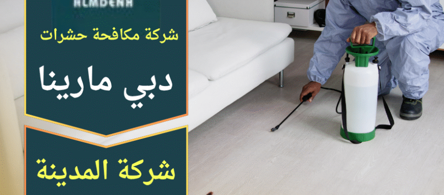 صورة فريق محترف من شركة مكافحة حشرات في دبي مارينا ينفذ معالجة شاملة داخل شقة سكنية باستخدام معدات حديثة.