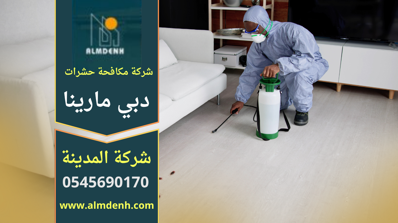 صورة فريق محترف من شركة مكافحة حشرات في دبي مارينا ينفذ معالجة شاملة داخل شقة سكنية باستخدام معدات حديثة.