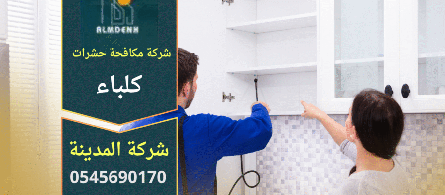 صورة توضح فريق عمل من شركة مكافحة حشرات في كلباء يستخدم معدات حديثة لرش المبيدات داخل منزل بطريقة آمنة.