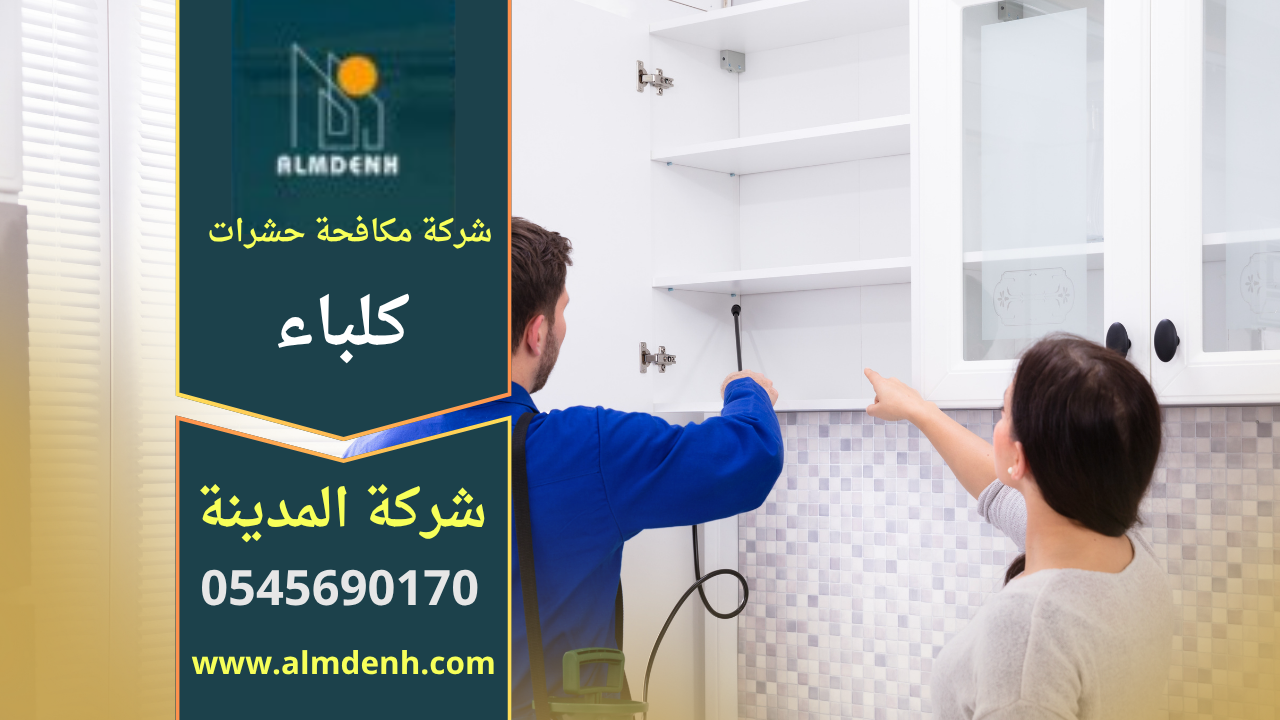 صورة توضح فريق عمل من شركة مكافحة حشرات في كلباء يستخدم معدات حديثة لرش المبيدات داخل منزل بطريقة آمنة.