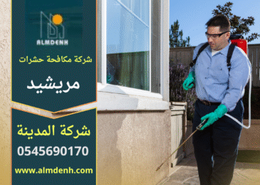 صورة فريق متخصص من شركة مكافحة حشرات في مريشيد يقوم بفحص موقع سكني باستخدام معدات حديثة لضمان معالجة فعالة.