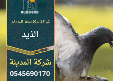 صورة توضح فريق عمل محترف ينفذ حلول طرد الطيور على أحد المباني في الذيد باستخدام معدات حديثة تابعة لـ شركة مكافحة الحمام في الذيد.