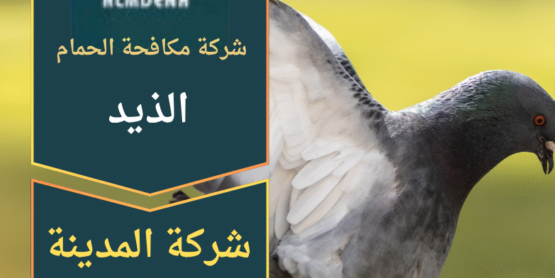 صورة توضح فريق عمل محترف ينفذ حلول طرد الطيور على أحد المباني في الذيد باستخدام معدات حديثة تابعة لـ شركة مكافحة الحمام في الذيد.