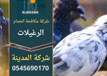 عامل متخصص يركب أدوات طرد الحمام على أسطح مبنى في الرغيلات ضمن خدمات شركة مكافحة الحمام في الرغيلات.