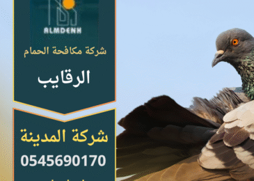 شركة مكافحة الحمام في الرقايب تقدم حلول طرد الحمام وتركيب الشبك والمسامير لحماية المباني من تجمع الطيور.