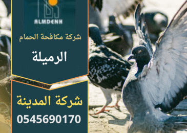 شركة مكافحة الحمام في الرميلة تقدم حلول طرد الحمام عن المباني باستخدام أدوات آمنة وطرق فعالة.