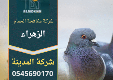 شركة مكافحة الحمام في الزهراء توفر حلول طرد الحمام وتركيب الشبك والمسامير لحماية المباني السكنية والتجارية.