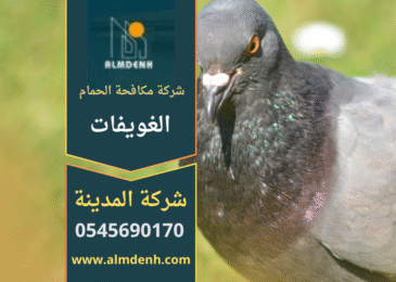 صورة توضح فريق عمل من شركة مكافحة الحمام في الغويفات يقوم بتركيب أدوات طرد الحمام على أسطح المباني.