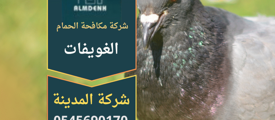 صورة توضح فريق عمل من شركة مكافحة الحمام في الغويفات يقوم بتركيب أدوات طرد الحمام على أسطح المباني.