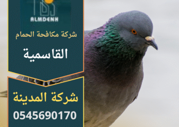 تركيب حلول فعالة لطرد الحمام في القاسمية بواسطة فريق متخصص من شركة مكافحة الحمام في القاسمية لضمان حماية الأسطح والمباني.