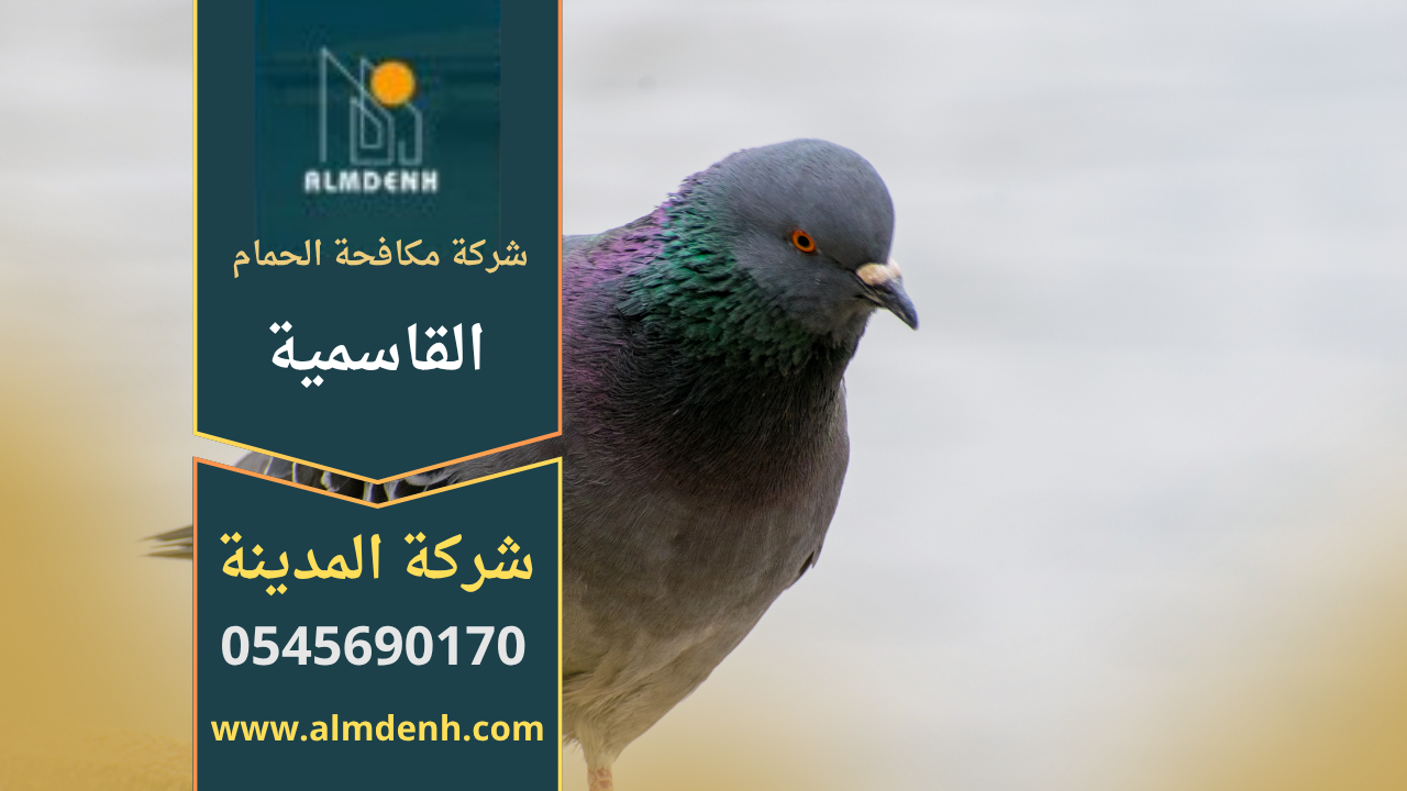 تركيب حلول فعالة لطرد الحمام في القاسمية بواسطة فريق متخصص من شركة مكافحة الحمام في القاسمية لضمان حماية الأسطح والمباني.