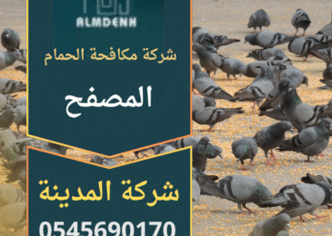 صورة فريق عمل من شركة مكافحة الحمام في المصفح يقوم بتركيب حلول طرد الحمام على أحد المباني السكنية في المصفح.