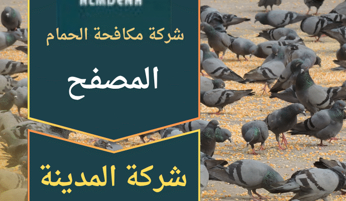 صورة فريق عمل من شركة مكافحة الحمام في المصفح يقوم بتركيب حلول طرد الحمام على أحد المباني السكنية في المصفح.