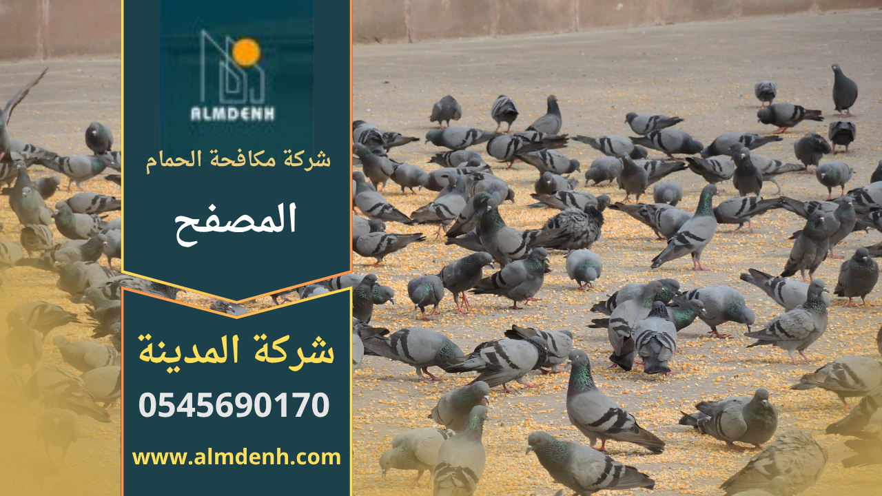 صورة فريق عمل من شركة مكافحة الحمام في المصفح يقوم بتركيب حلول طرد الحمام على أحد المباني السكنية في المصفح.