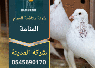 شركة مكافحة الحمام في المنامة تقدم حلول فعالة لطرد الحمام ومنع تجمعه باستخدام شبكات ومسامير حماية عالية الجودة.