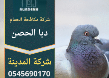 صورة فني محترف من شركة مكافحة الحمام في دبا الحصن يقوم بتركيب أدوات طرد حديثة على أحد المباني لحماية الأسطح من تجمع الطيور.