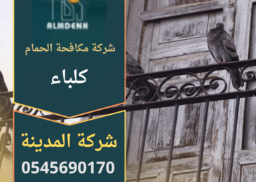 صورة توضح فريق عمل محترف يقوم بتركيب أدوات طرد الطيور على أحد أسطح المنازل في كلباء ضمن خدمات شركة مكافحة الحمام في كلباء.