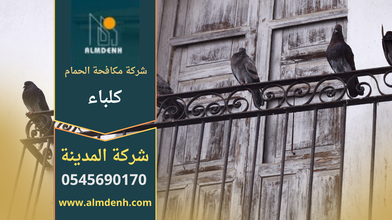 صورة توضح فريق عمل محترف يقوم بتركيب أدوات طرد الطيور على أحد أسطح المنازل في كلباء ضمن خدمات شركة مكافحة الحمام في كلباء.
