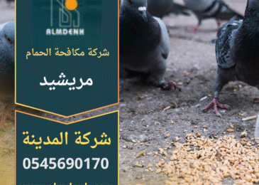 صورة فريق شركة مكافحة الحمام في مريشيد يقوم بتركيب أدوات طرد احترافية أعلى أحد المباني داخل المنطقة.