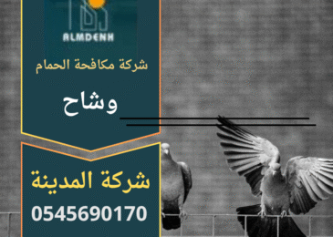 صورة تظهر فريق متخصص من شركة مكافحة الحمام في وشاح يركب شبكات واقية وأشواك معدنية لمنع تجمع الحمام فوق المباني.