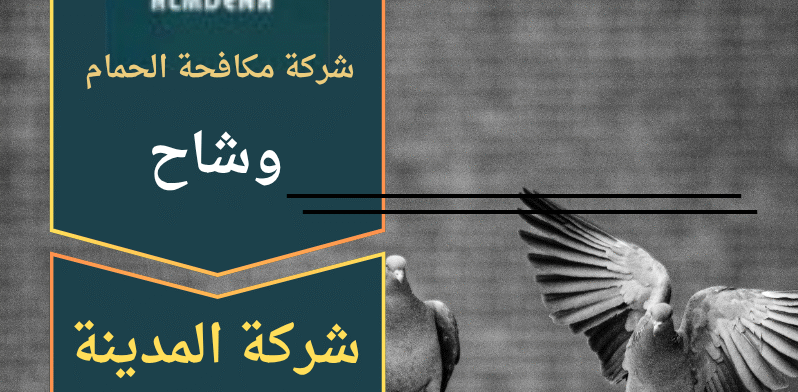 صورة تظهر فريق متخصص من شركة مكافحة الحمام في وشاح يركب شبكات واقية وأشواك معدنية لمنع تجمع الحمام فوق المباني.