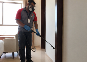 شركة مكافحة حشرات ابوظبي