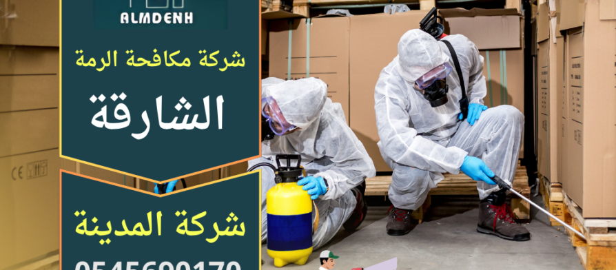 عامل متخصص يفحص جدارا متضررا ويستخدم معدات حديثة لاكتشاف أماكن انتشار الرمة ضمن خدمة شركة مكافحة الرمة في الشارقة.