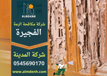 فني يقوم بفحص جدار داخل منزل للكشف عن الرمة باستخدام أدوات متخصصة ضمن خدمة شركة مكافحة الرمة في الفجيرة.