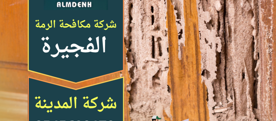 فني يقوم بفحص جدار داخل منزل للكشف عن الرمة باستخدام أدوات متخصصة ضمن خدمة شركة مكافحة الرمة في الفجيرة.