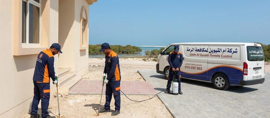 شركة مكافحة النمل الابيض في ام القيوين