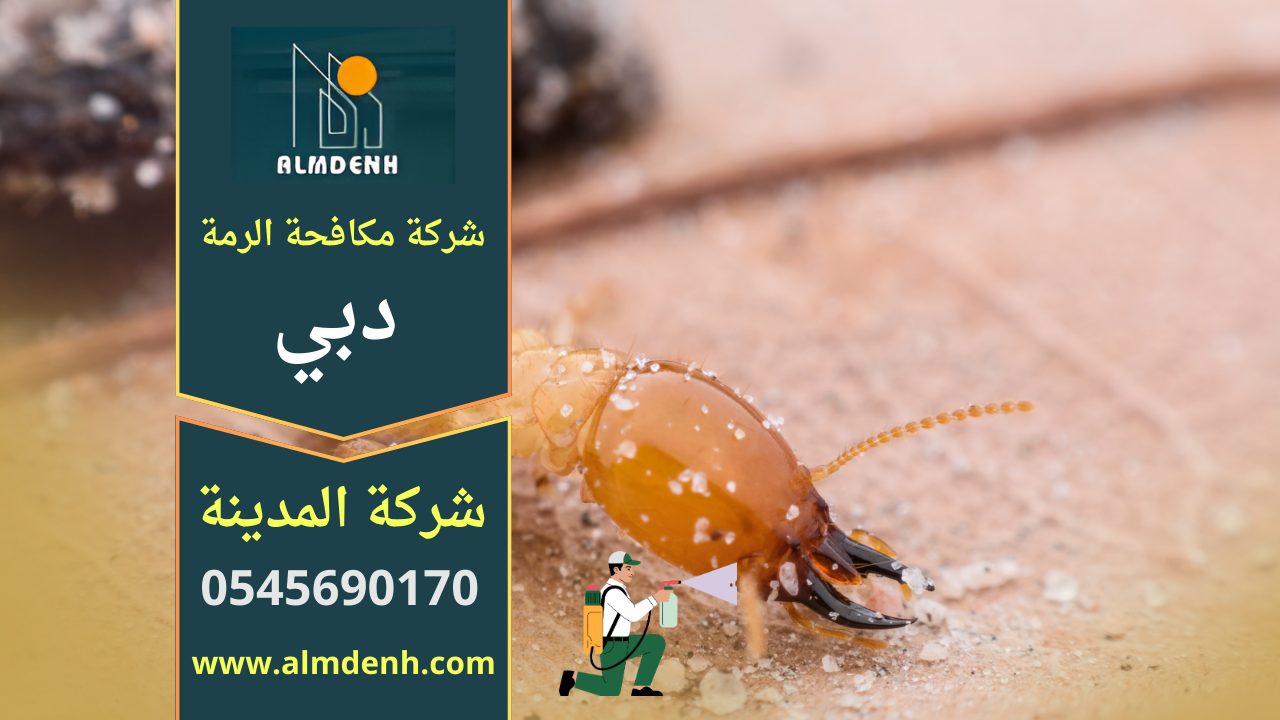 فني متخصص يفحص الخشب داخل منزل في دبي باستخدام معدات احترافية ضمن خدمة تقدمها شركة مكافحة الرمة في دبي.