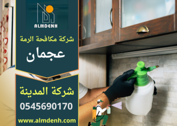 فريق متخصص ينفذ فحص ومعالجة للنمل الابيض داخل منزل باستخدام معدات احترافية ضمن خدمات شركة مكافحة الرمة في عجمان.