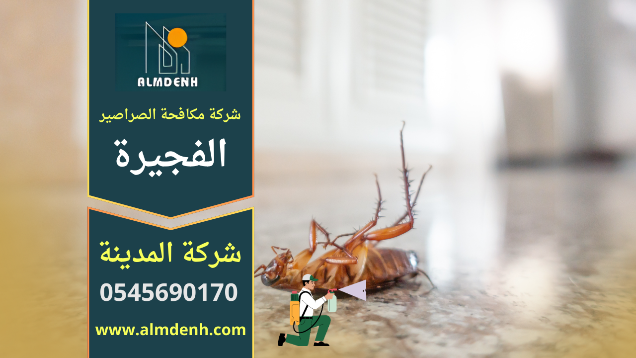 صورة توضح فريق يعمل على رش ومعالجة الحشرات داخل منزل في الفجيرة ضمن خدمات شركة مكافحة الصراصير في الفجيرة باستخدام معدات حديثة.